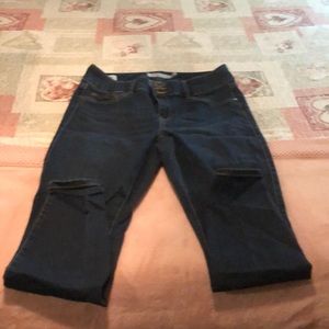 Torrid 14R jegging